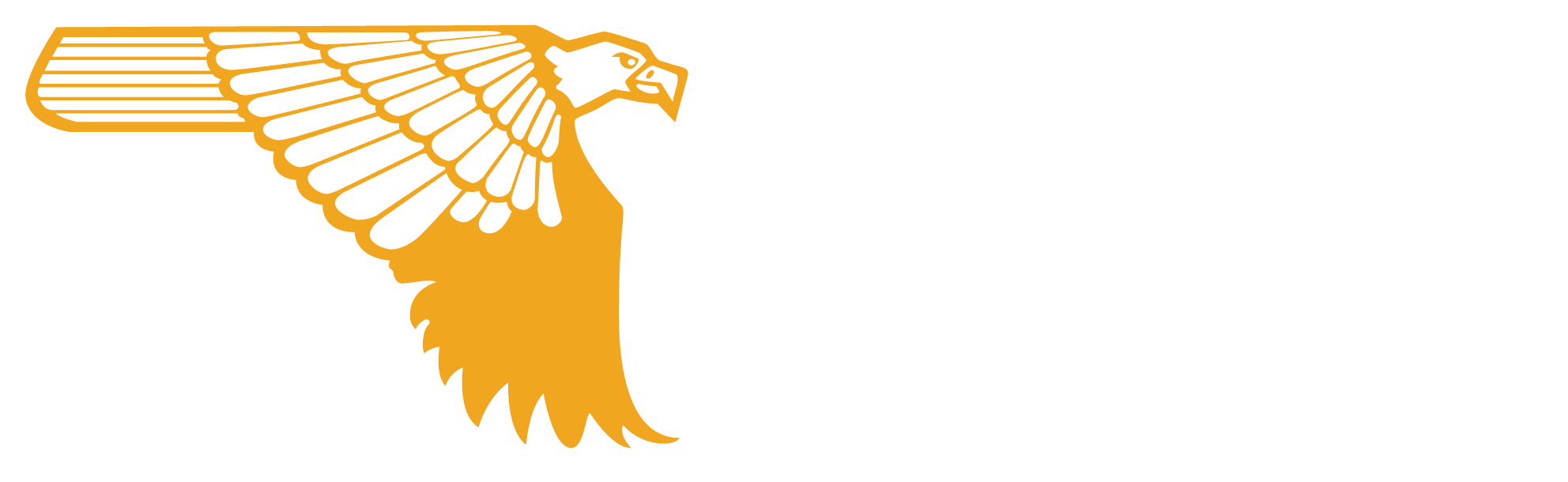 Desert Eagle Firearms